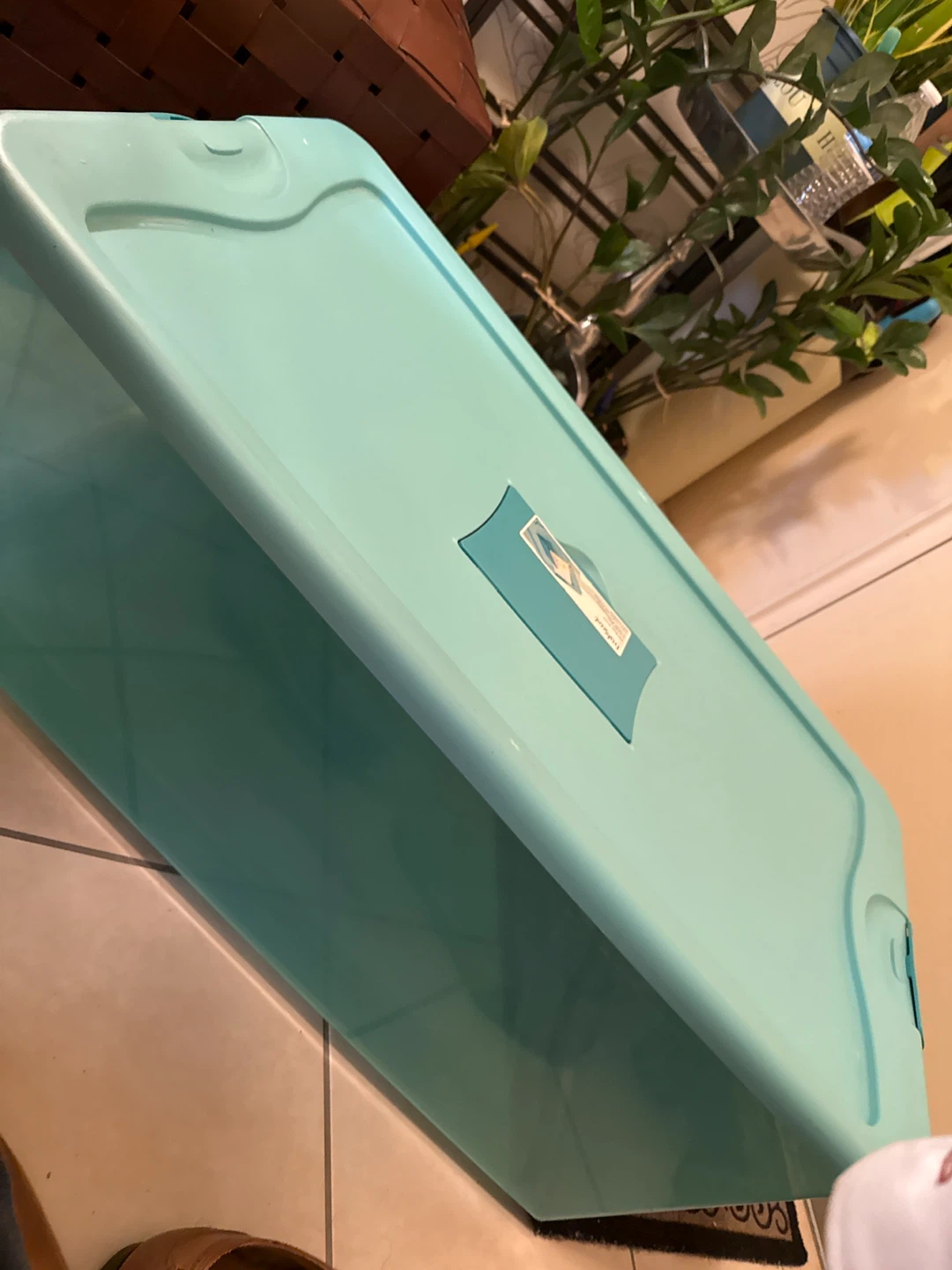 Sterilite Large Teal Storage Bin with Lid - photo 3