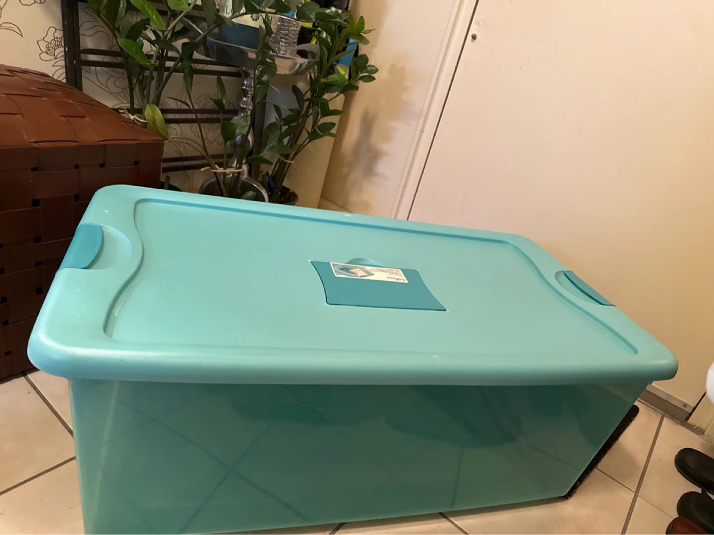 Sterilite Large Teal Storage Bin with Lid