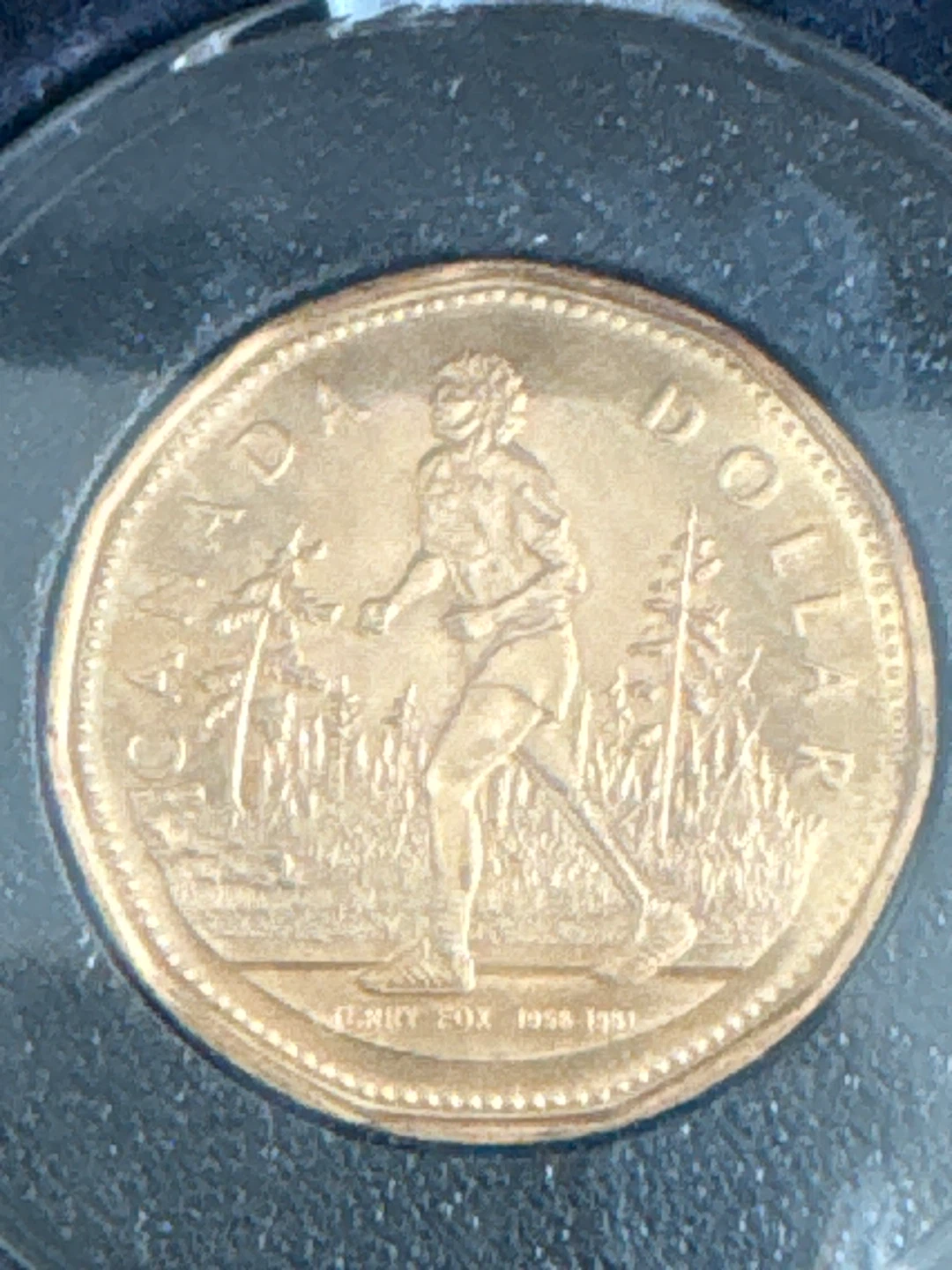 Terry fox 2005 Canadian loonie