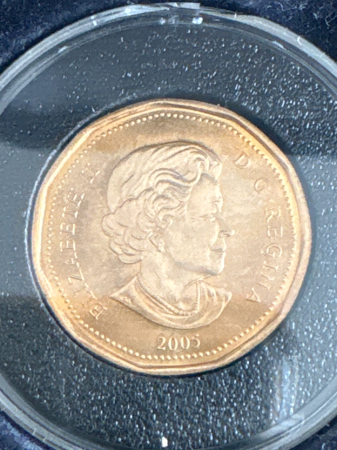 Terry fox 2005 Canadian loonie - photo 2