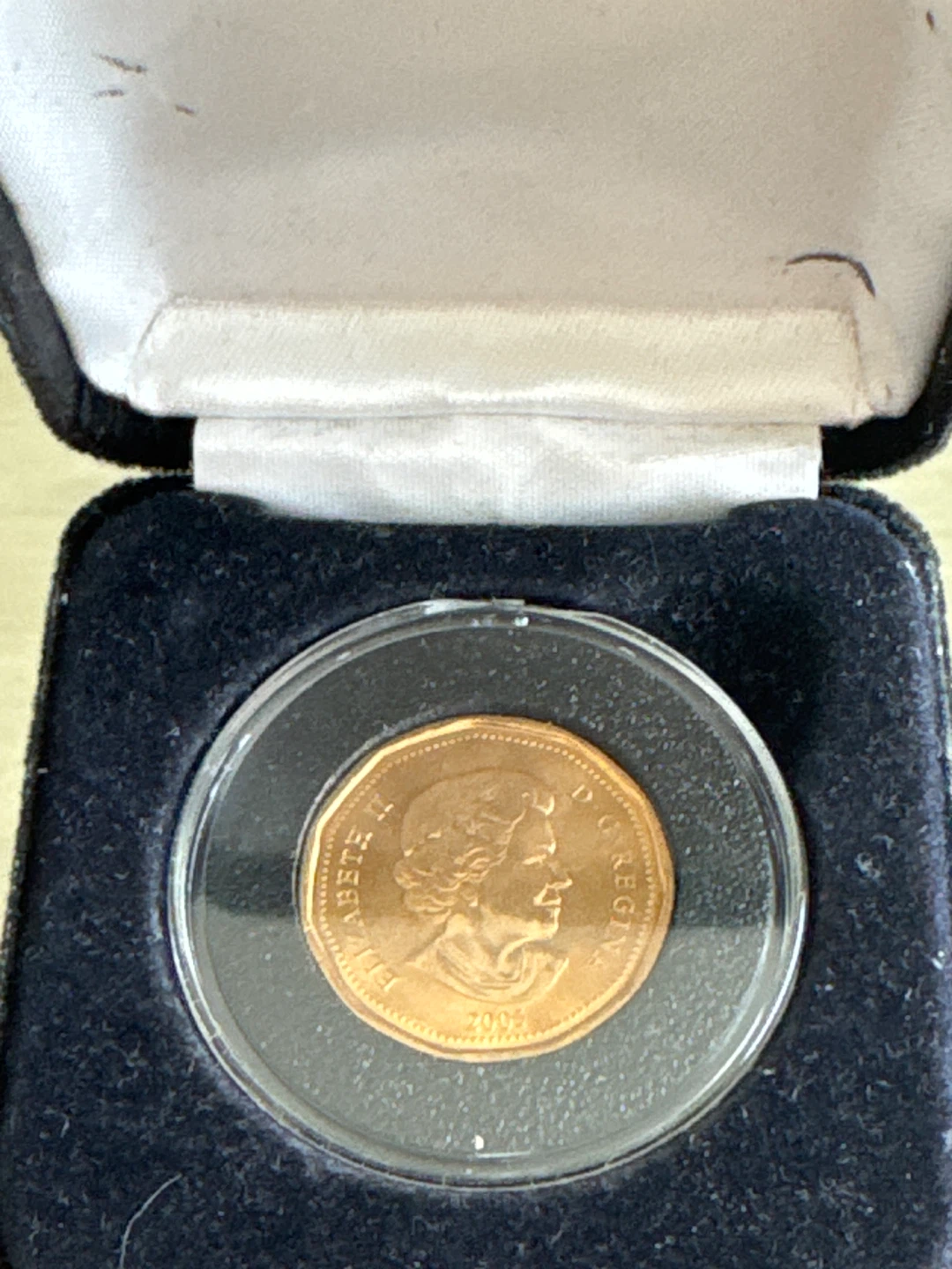 Terry fox 2005 Canadian loonie - photo 3