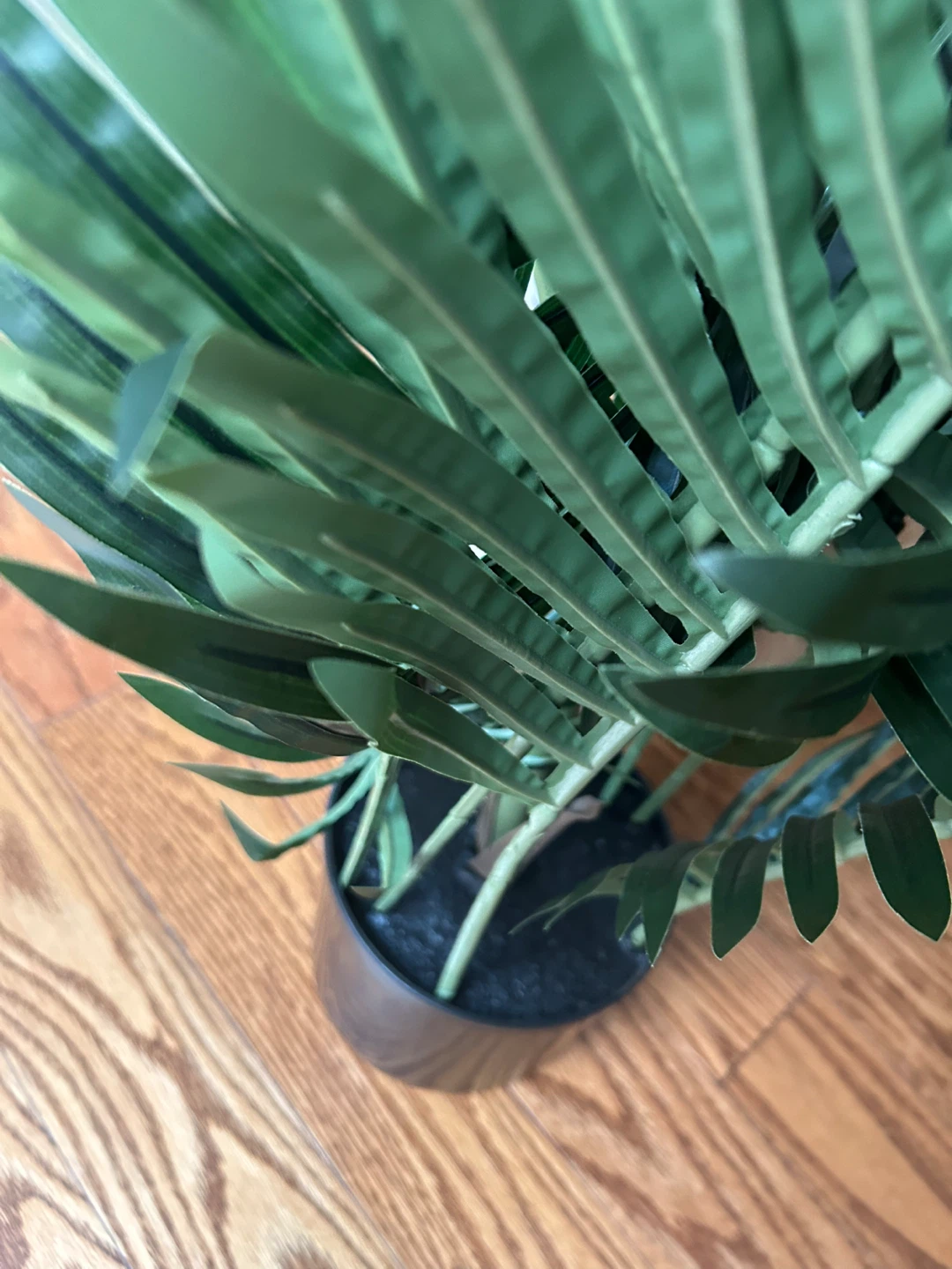 Artificial Kentia Palm Tree - photo 5