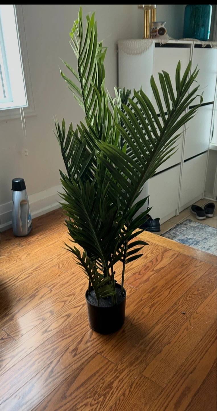 Artificial Kentia Palm Tree - photo 2