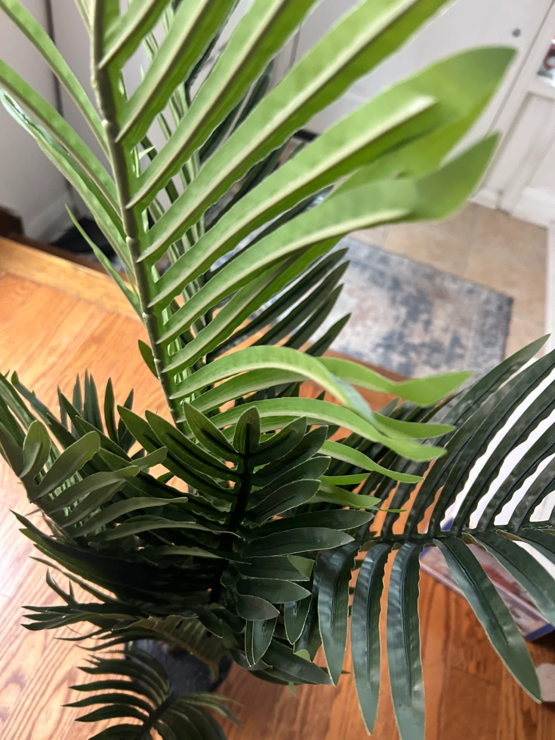 Artificial Kentia Palm Tree - photo 4