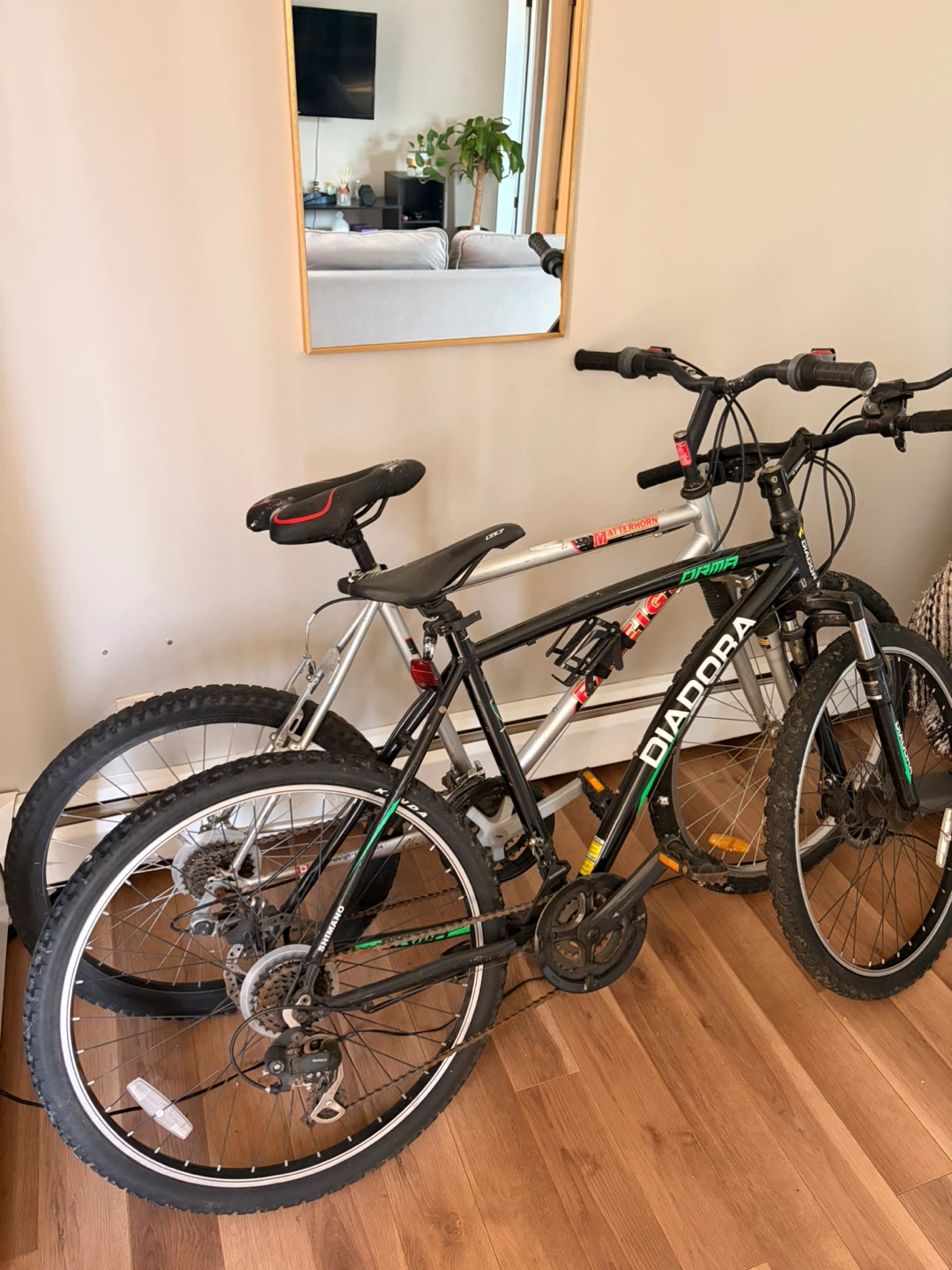 2 Mountain Bikes