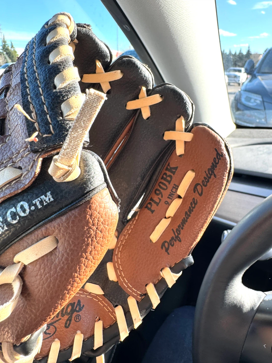 Rawlings Players Series PL90BK 9 Inch Baseball Glove - photo 5
