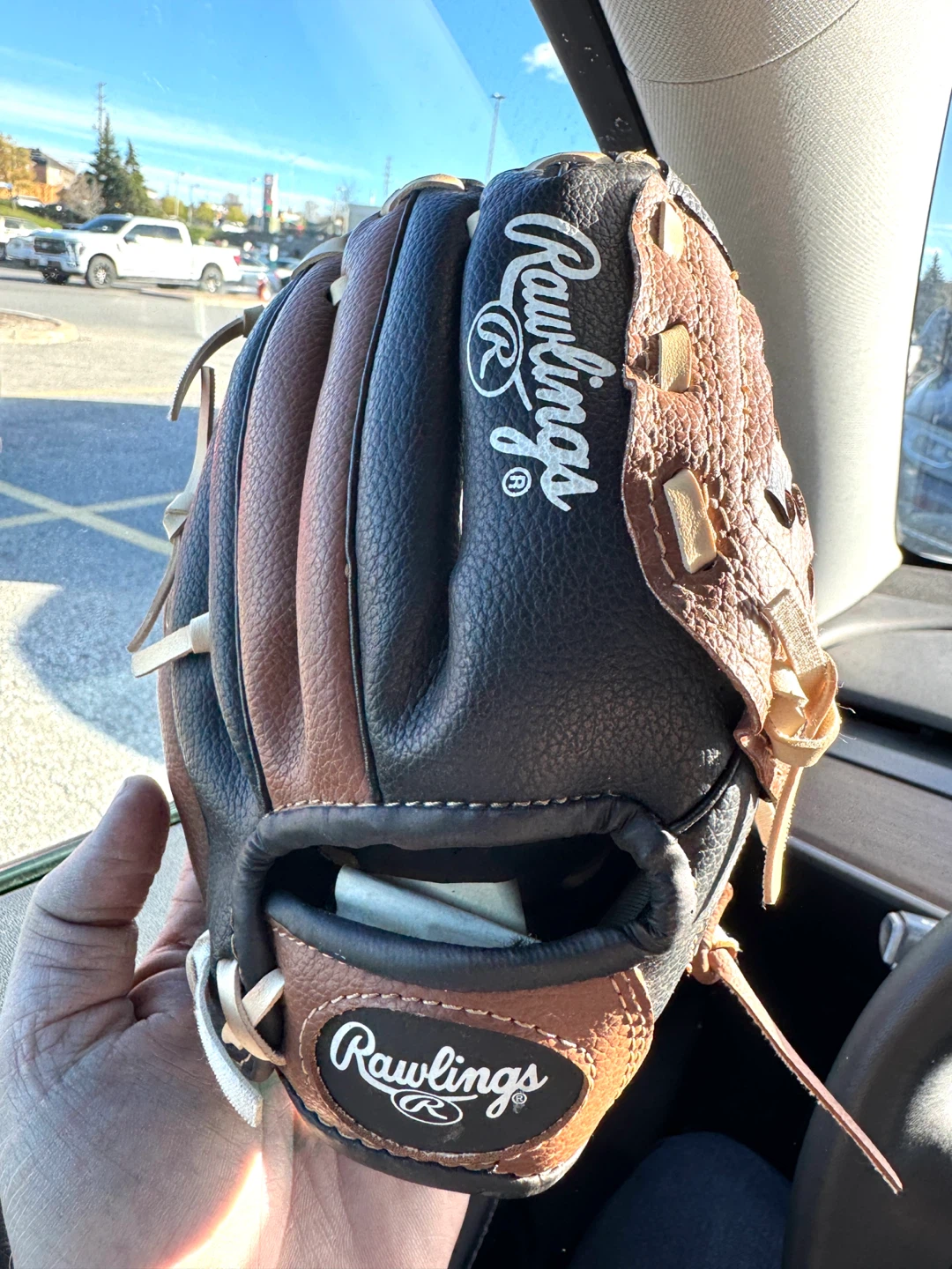 Rawlings Players Series PL90BK 9 Inch Baseball Glove