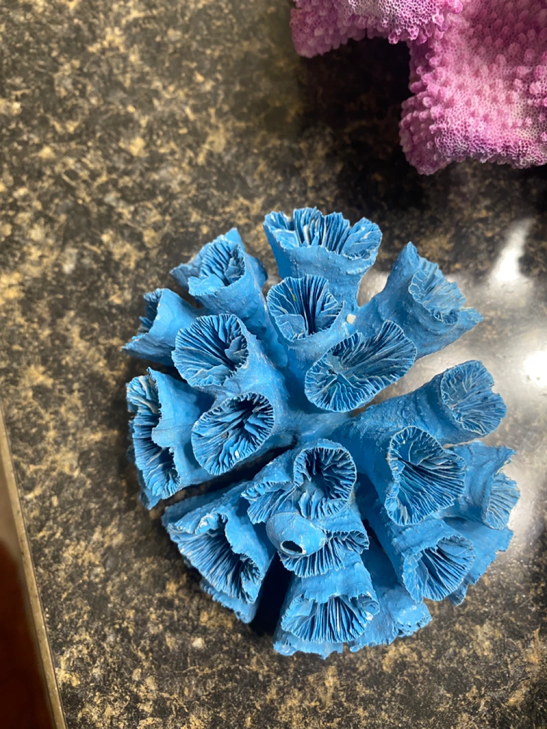 Decorative Coral Pieces (3) - photo 2