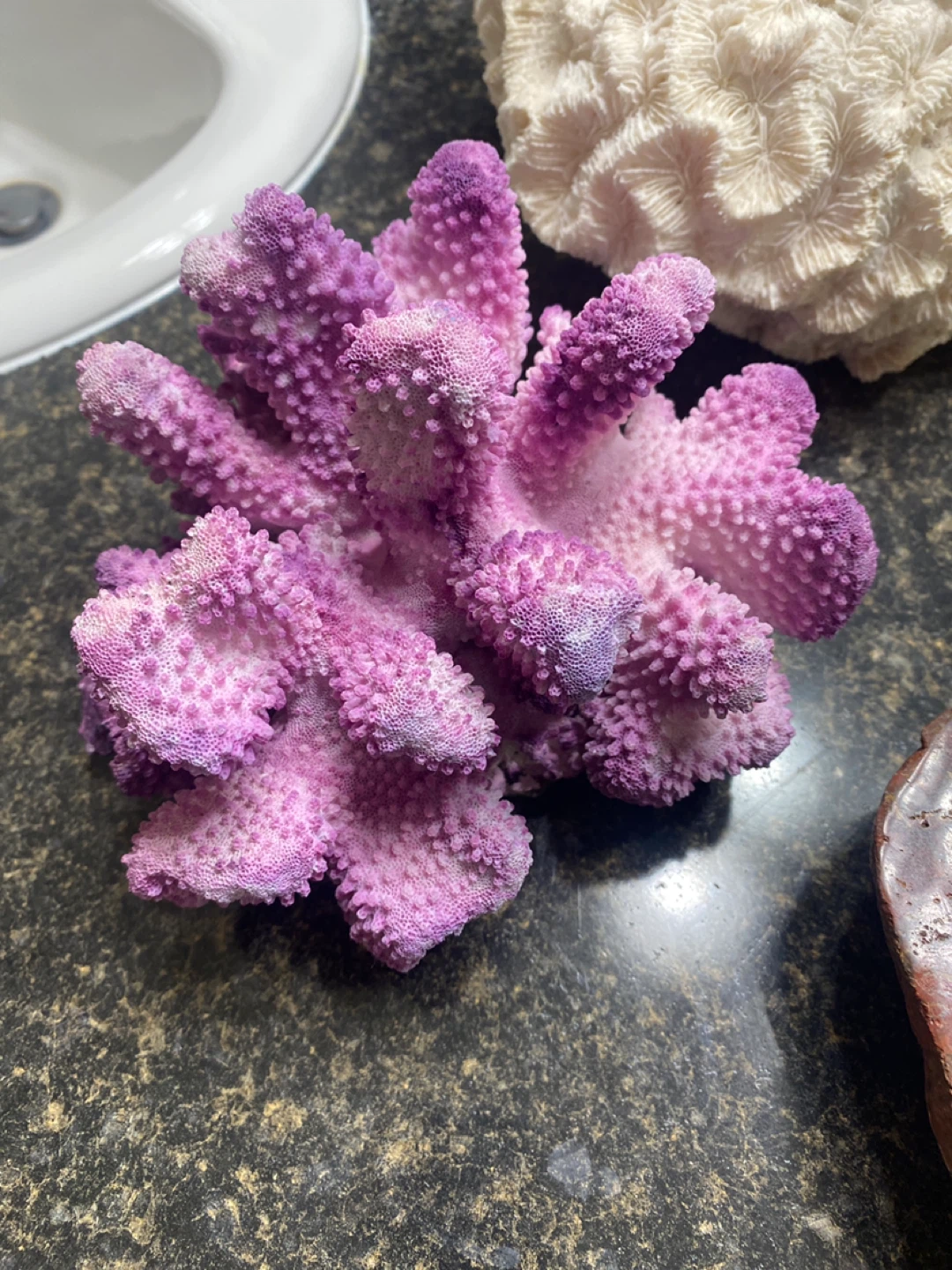 Decorative Coral Pieces (3) - photo 3