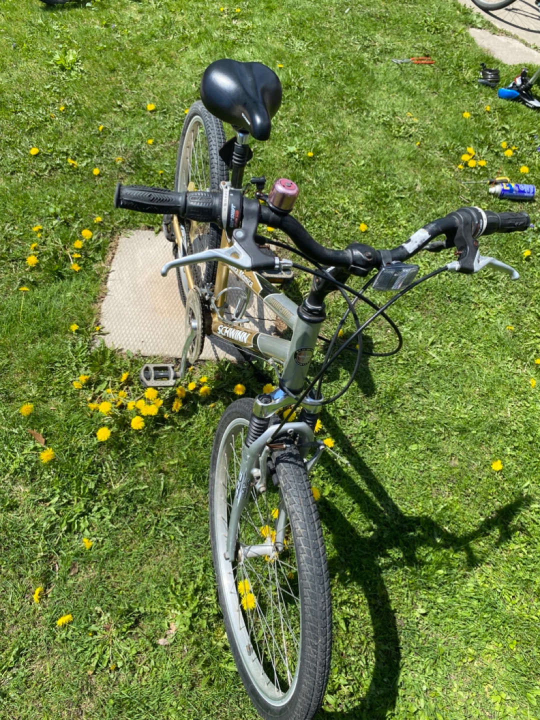 Schwinn Santa Monica bike - photo 2