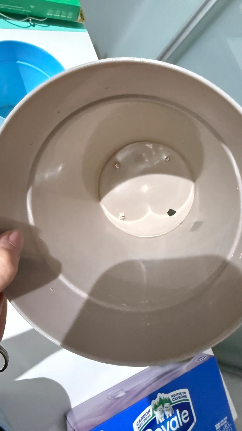 Plastic Plant Pots and Saucers all $5 - photo 4