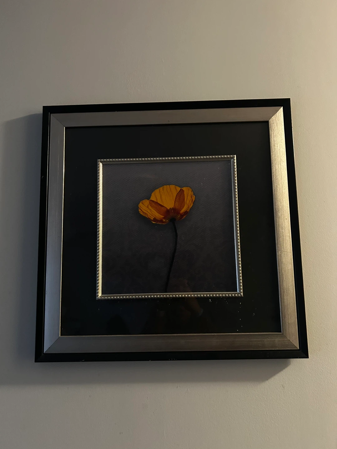 Framed Pressed Orange Flower Art