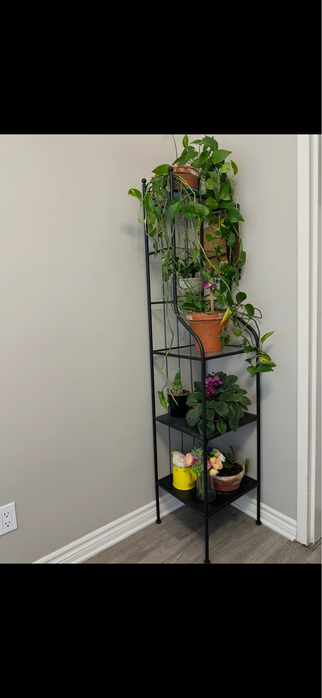 Plant stands