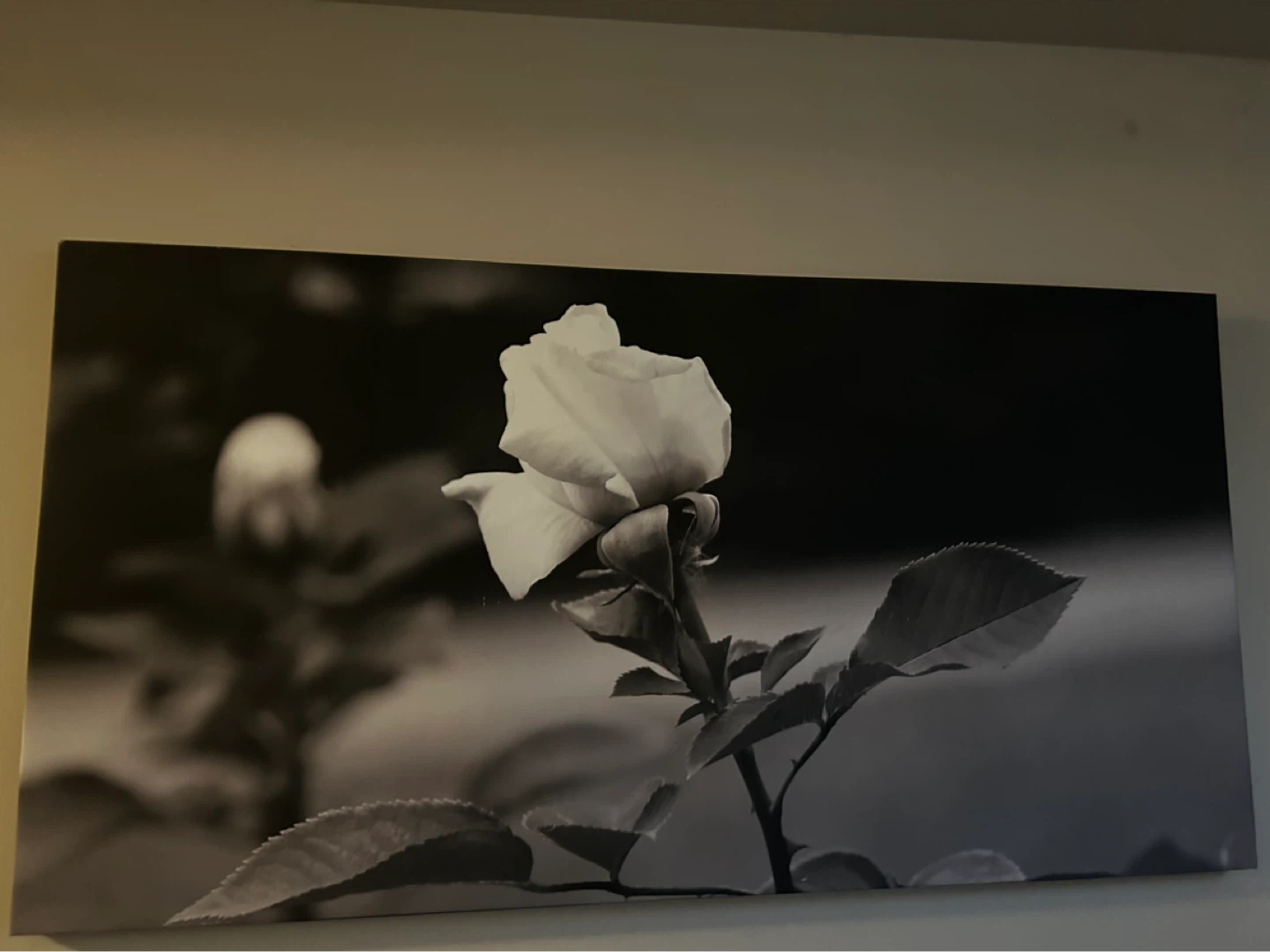 Black and White Rose Canvas Wall Art