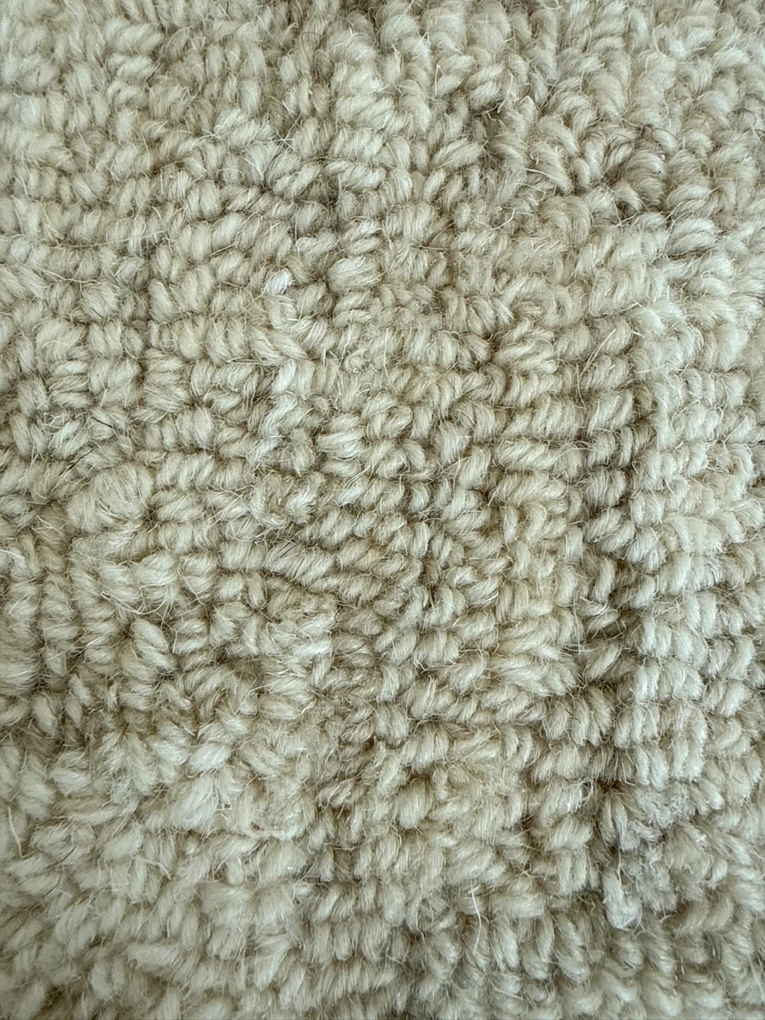 Exquisite Rugs Veneta Rug - 5' x 8' - New Zealand Wool - photo 4