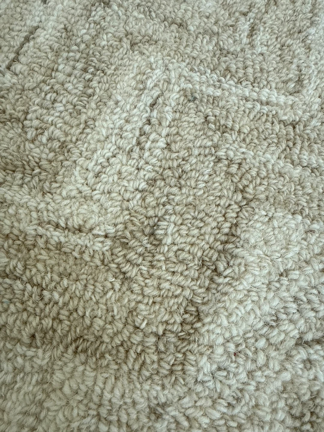 Exquisite Rugs Veneta Rug - 5' x 8' - New Zealand Wool - photo 3