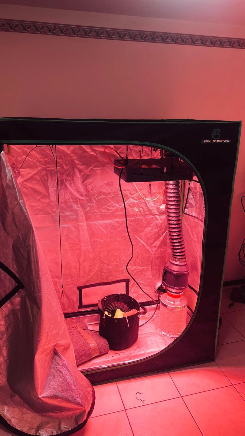 Green Architecture Grow Tent Kit - photo 5