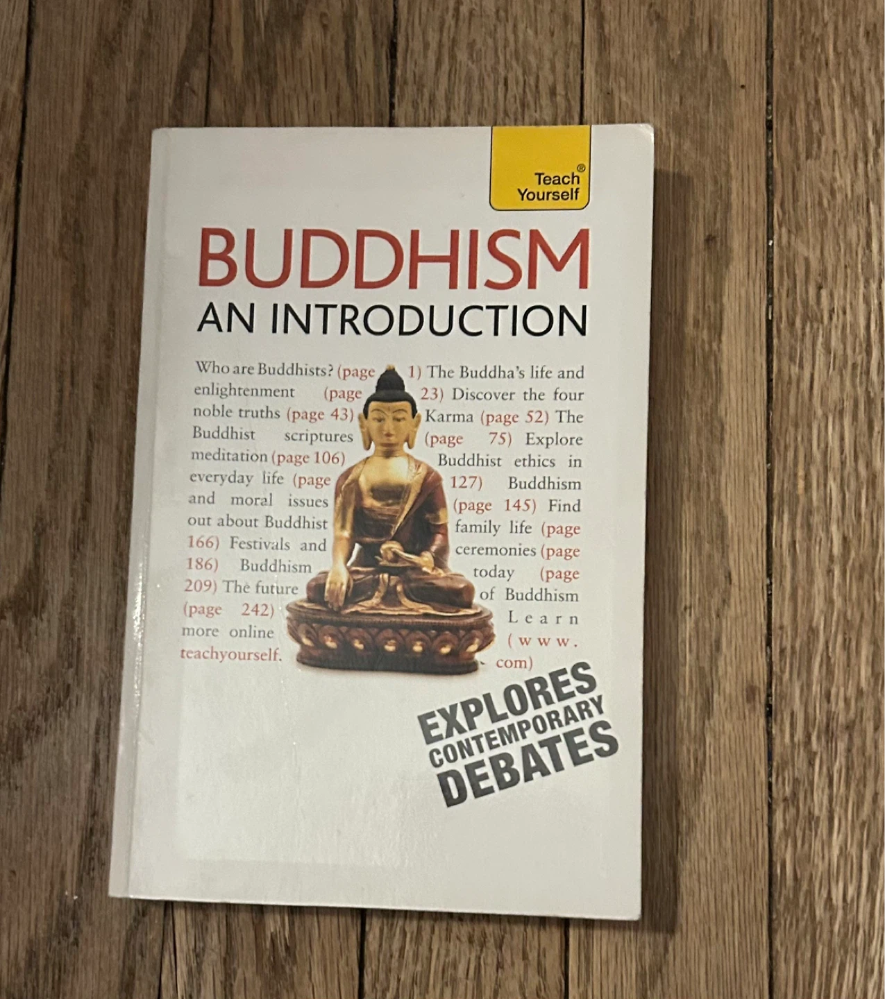 Teach Yourself Buddhism: An Introduction Book