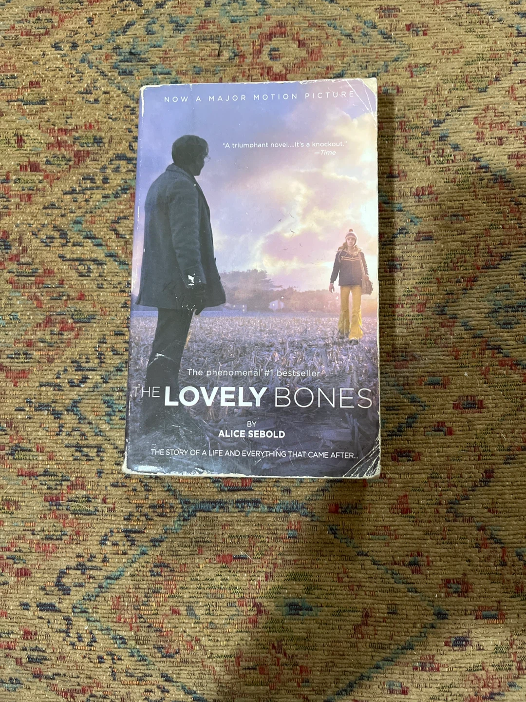 The Lovely Bones by Alice Sebold
