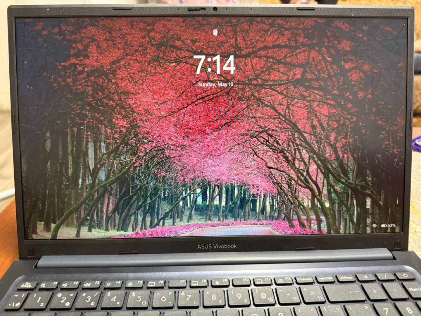 ASUS Vivobook Laptop - photo 4