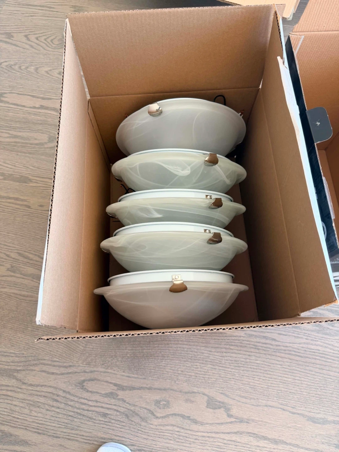 Ceiling Light Fixture Shades with Hardware - photo 2