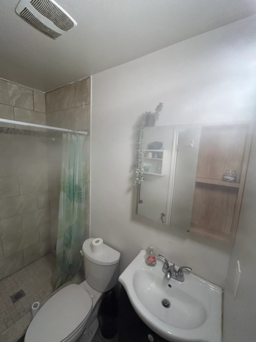 Rental studio - photo 3