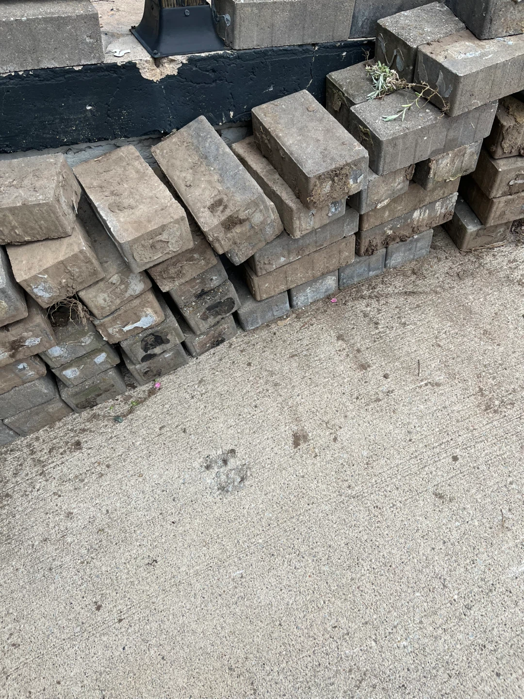 Paving Stones/Bricks - photo 3