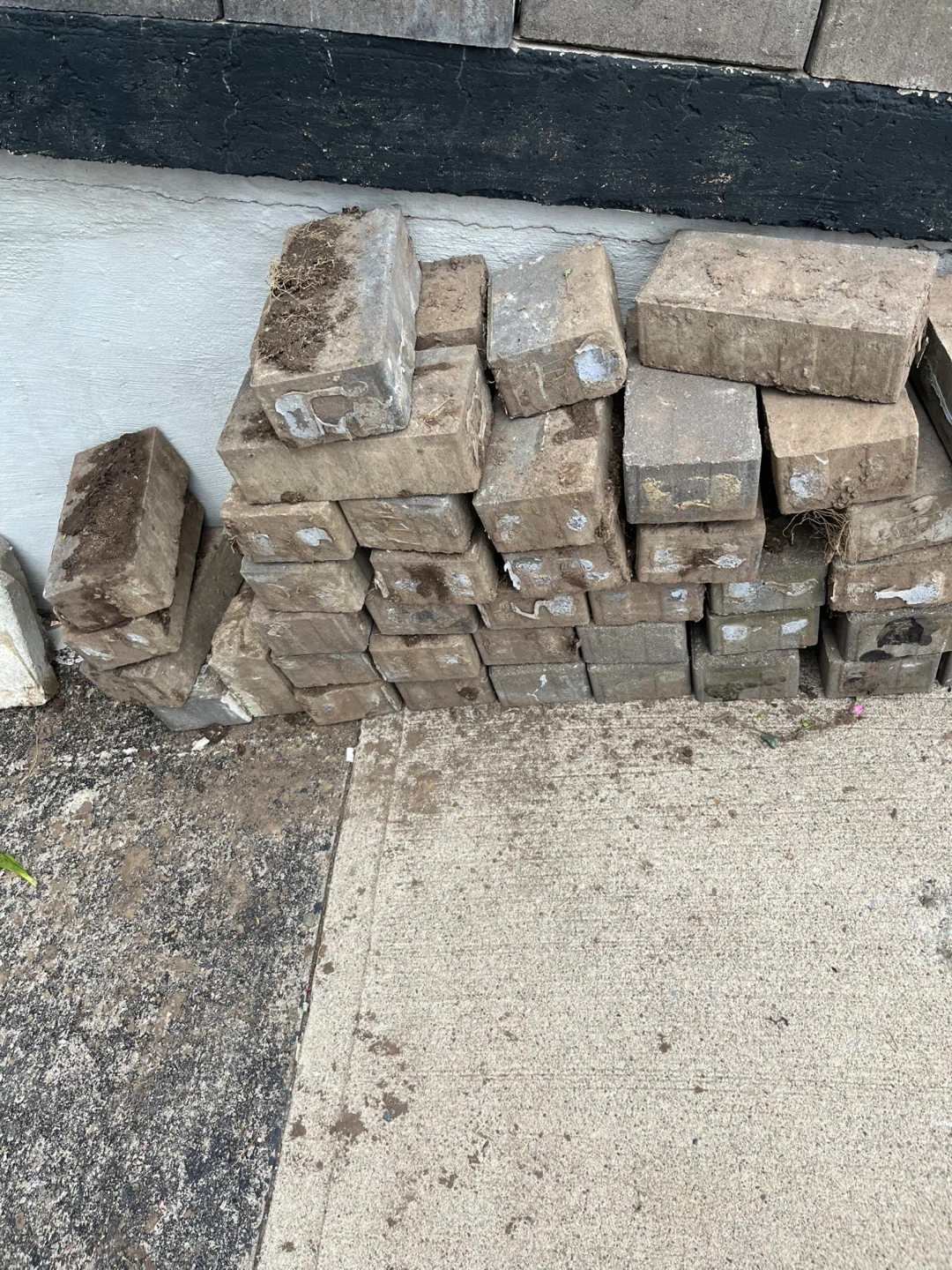 Paving Stones/Bricks - photo 4