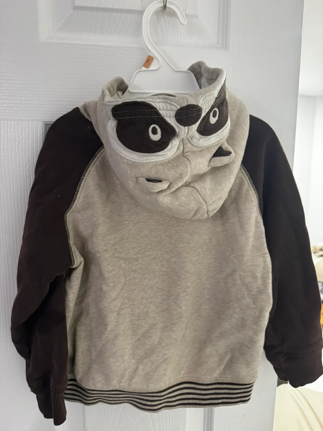 Gymboree Boys 4T Raccoon Hoodie