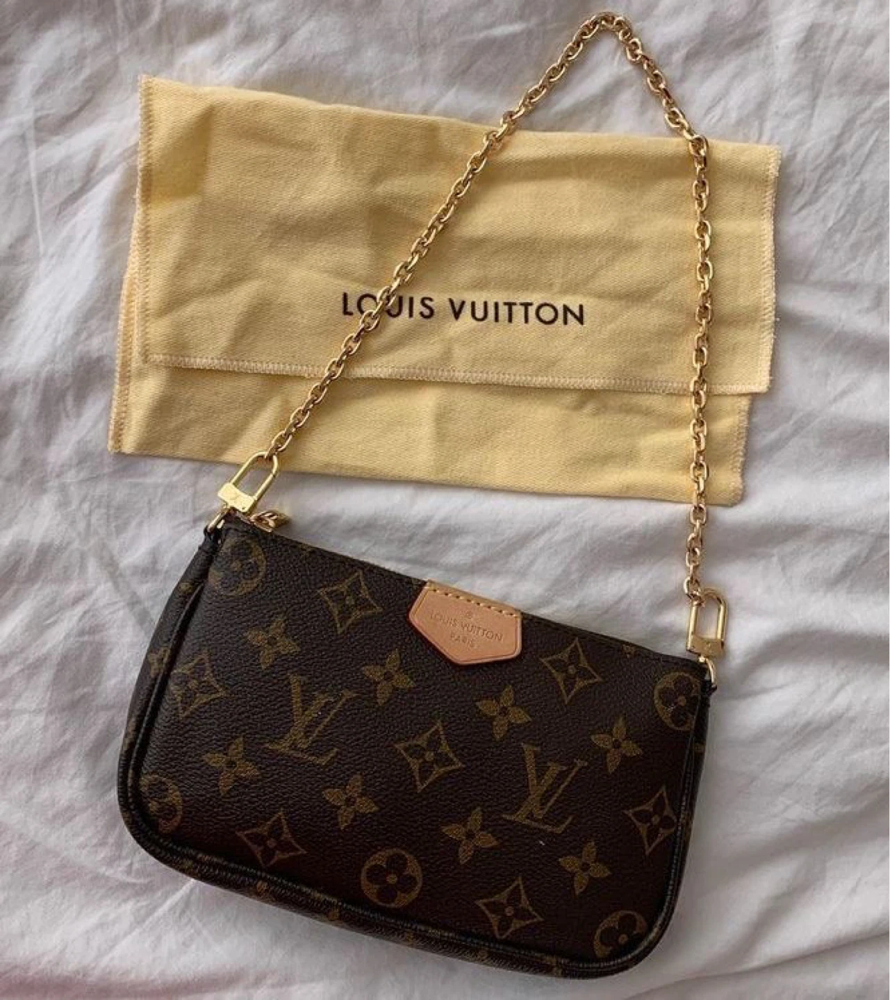 Louis Vuitton Monogram Pochette Accessoires Bag
