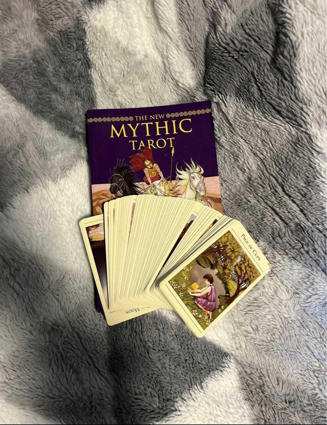The New Mythic Tarot Deck and Book Set - photo 2