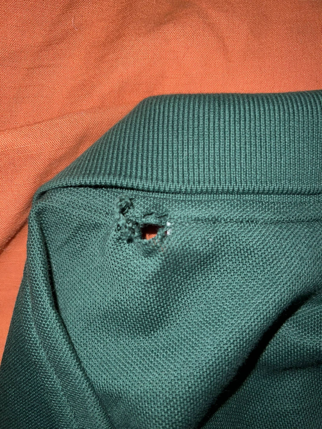 Lacoste Polo Shirt L.12.12 - Green - photo 2