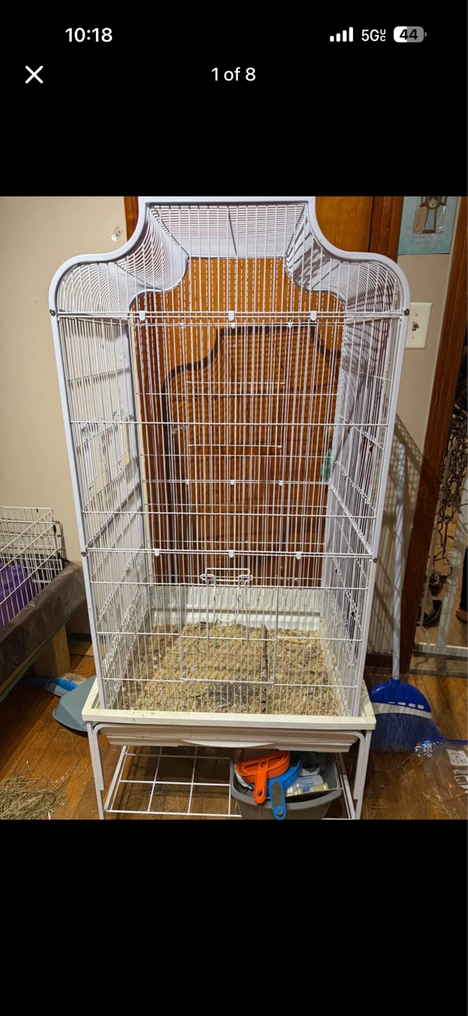 Wild Harvest Daily Blend Bird Seed and Cage Accessories