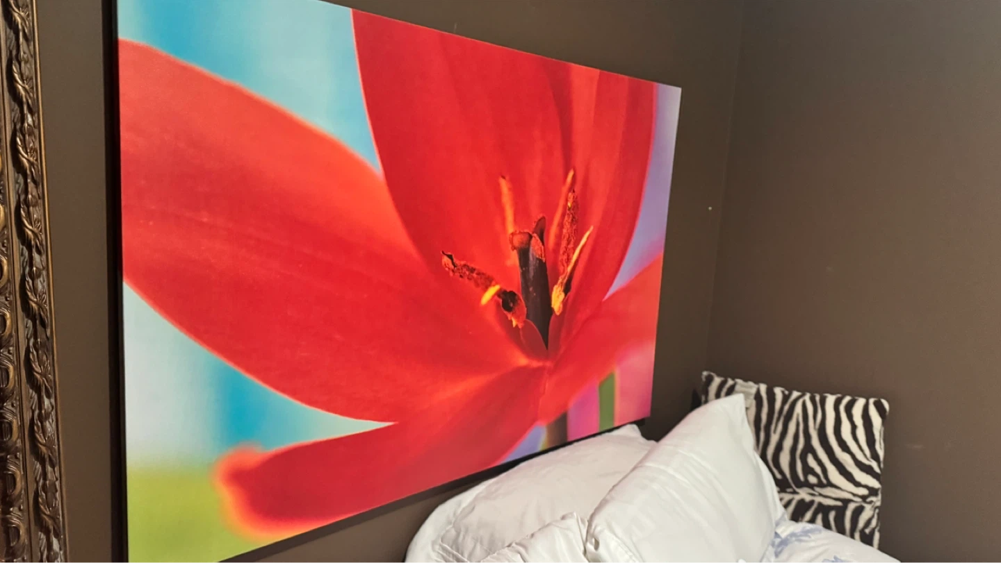 Large Canvas Print - Red Tulip Flower Art