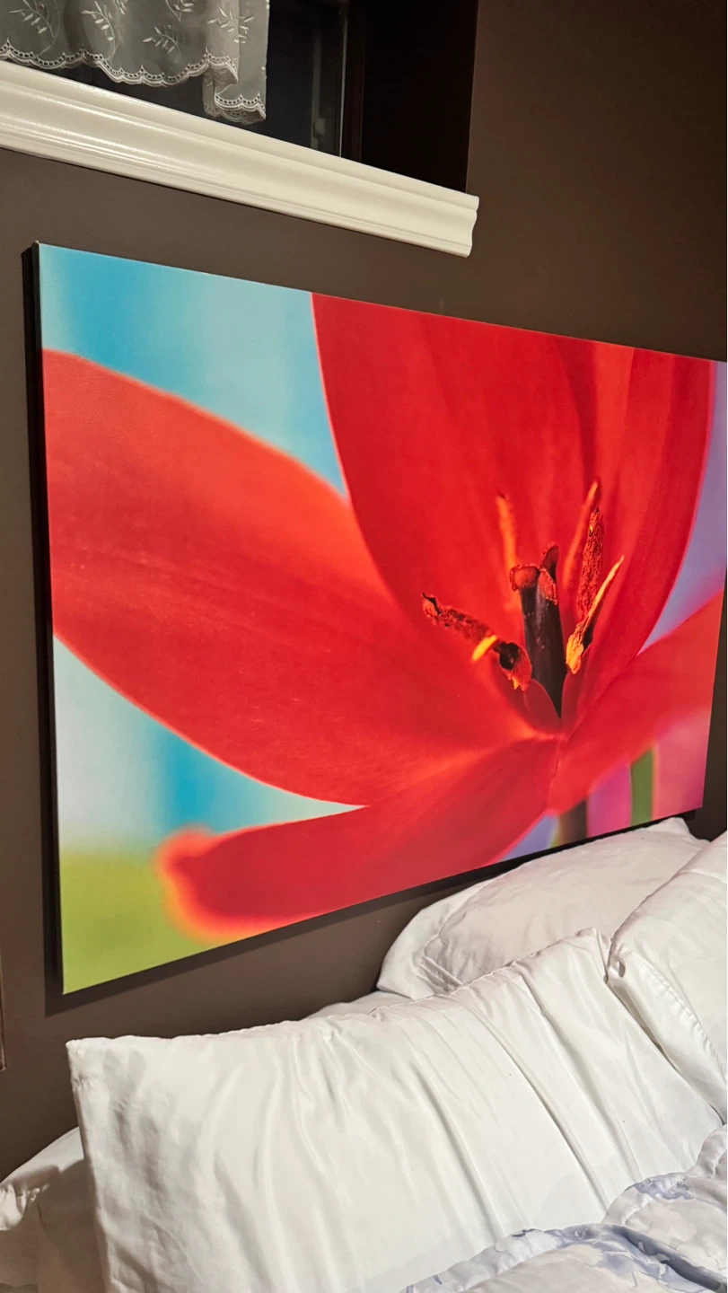 Large Canvas Print - Red Tulip Flower Art - photo 2