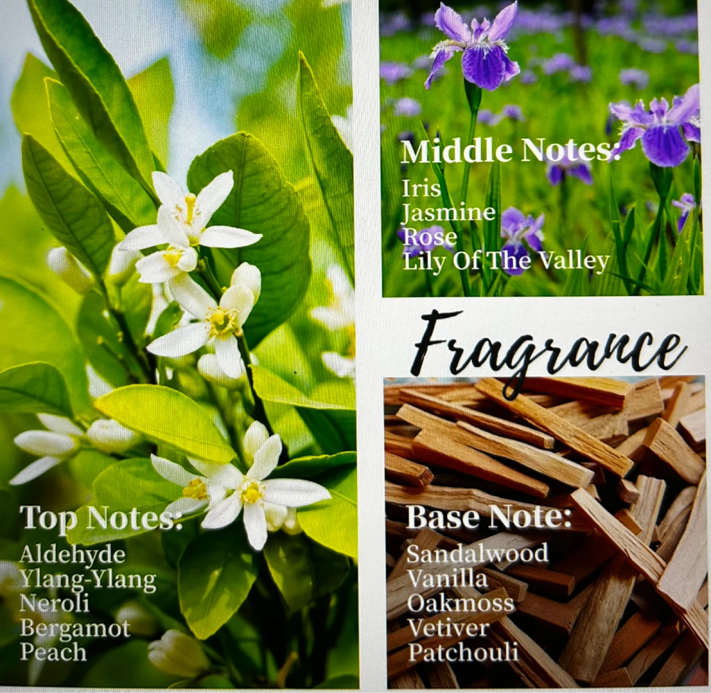 Roucas-Blanc Celestial Whisper Reed Diffuser - photo 4