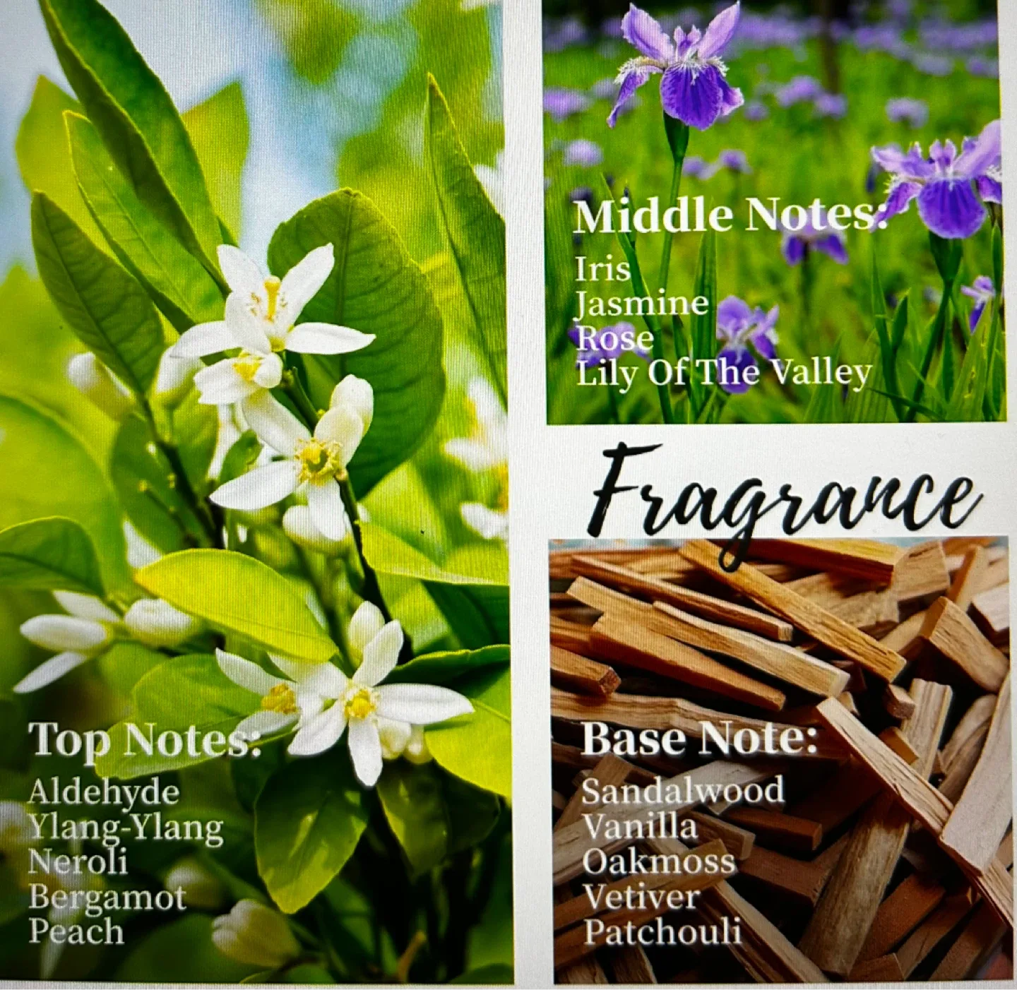 Roucas-Blanc Celestial Whisper Reed Diffuser - photo 4