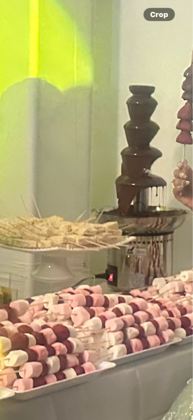 5-Tier Chocolate Fountain - photo 2