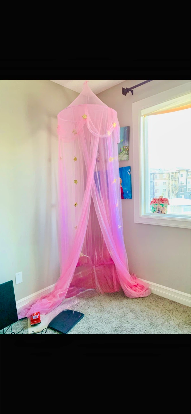 Pink Tulle Canopy with Gold Stars - photo 2