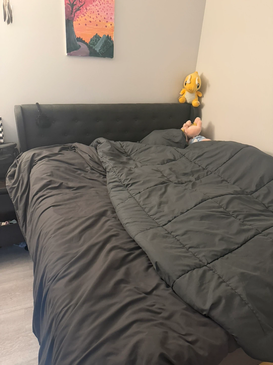 Storage Bed Frame - photo 3