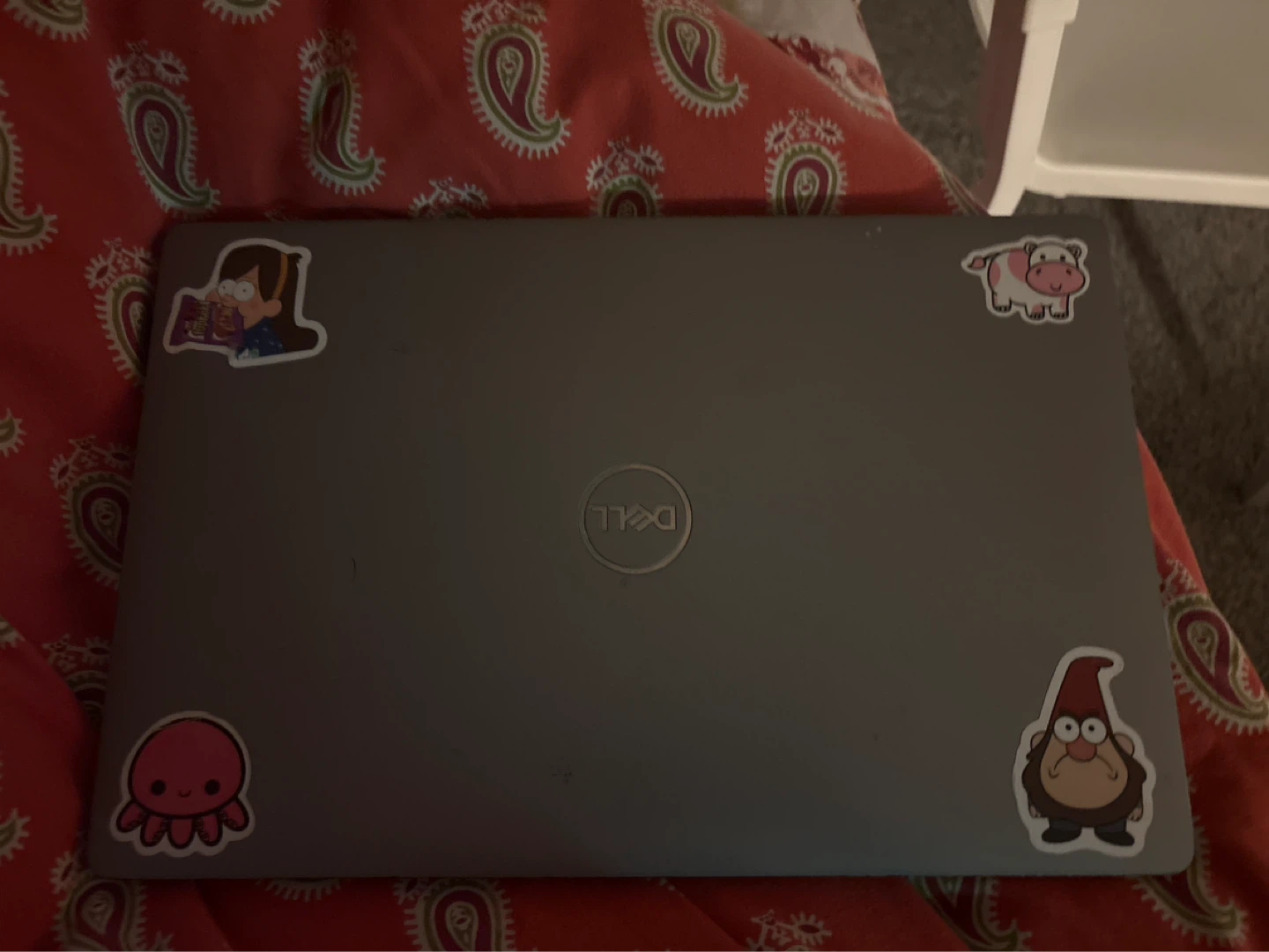 Dell Laptop - photo 2