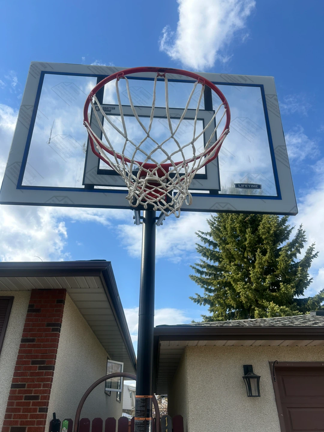 Lifetime Basketball Hoop