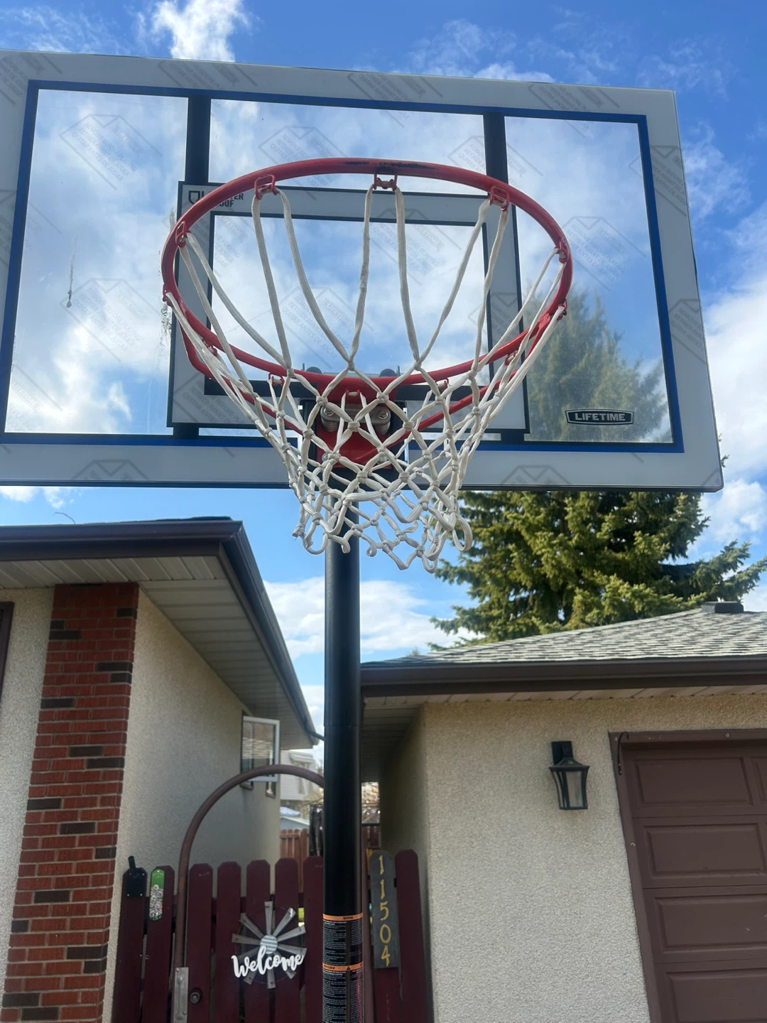 Lifetime Basketball Hoop - photo 2
