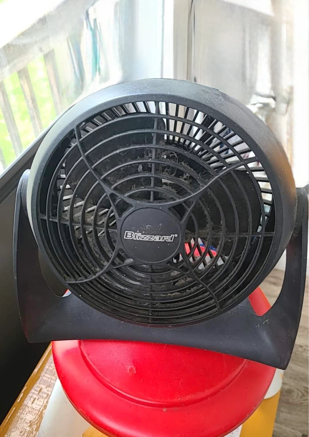 Blizzard Black Fan