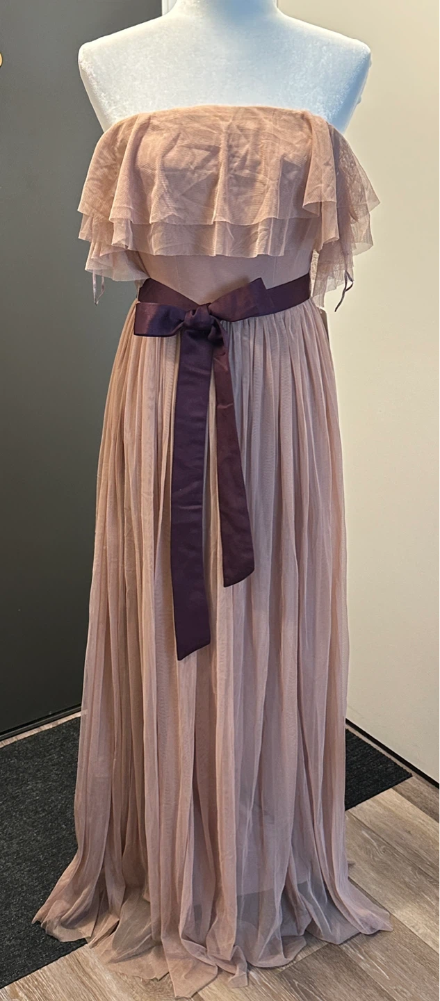 NWT Anaya Pink Tulle Strapless Maxi Dress S