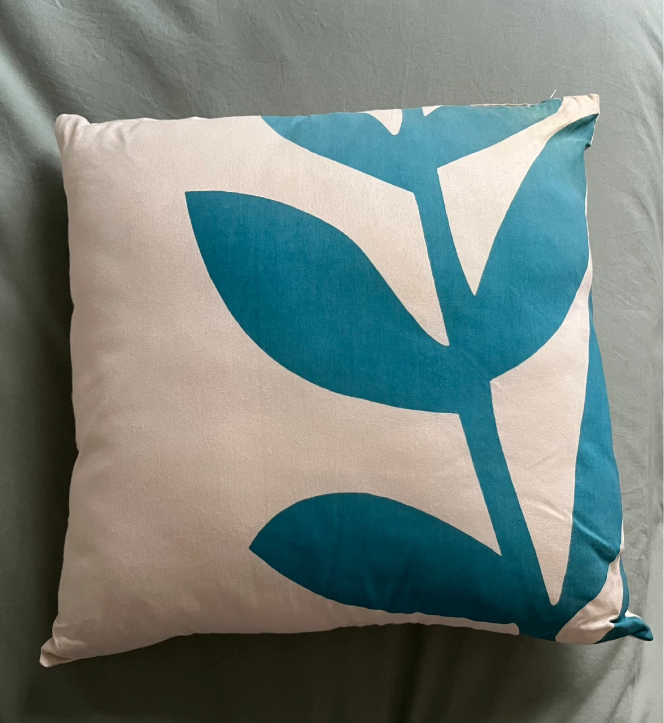 Throw Pillow with Turquoise Plant Design