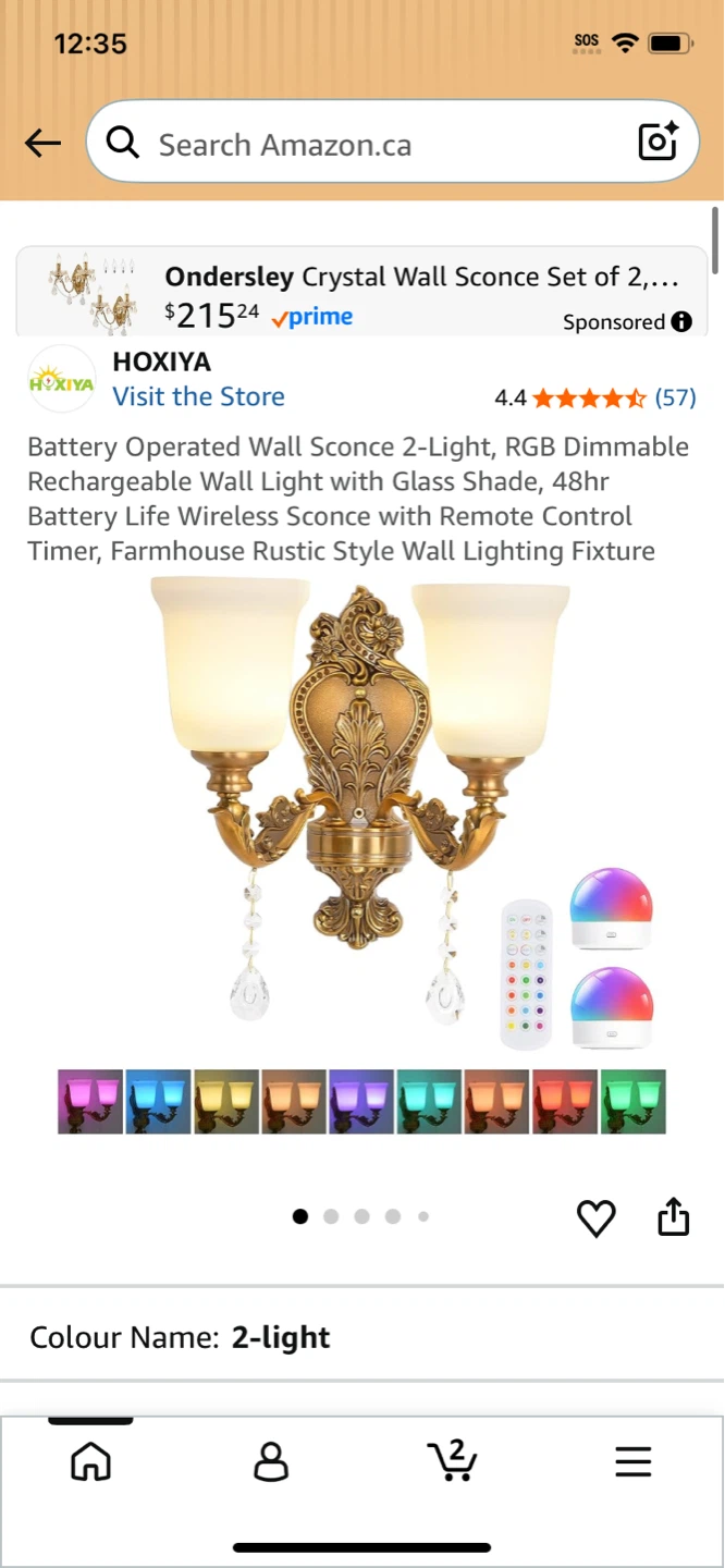 HOXIYA Battery Operated Wall Sconce 2-Light RGB Dimmable