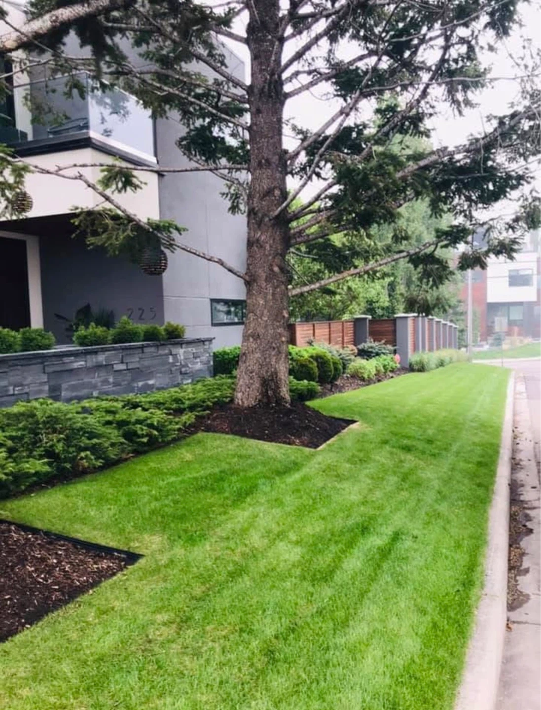 Lawn Care