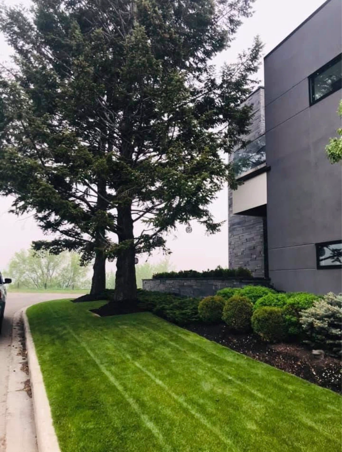 Lawn Care - photo 4