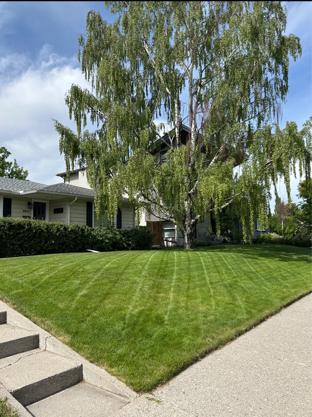 Lawn Care - photo 2